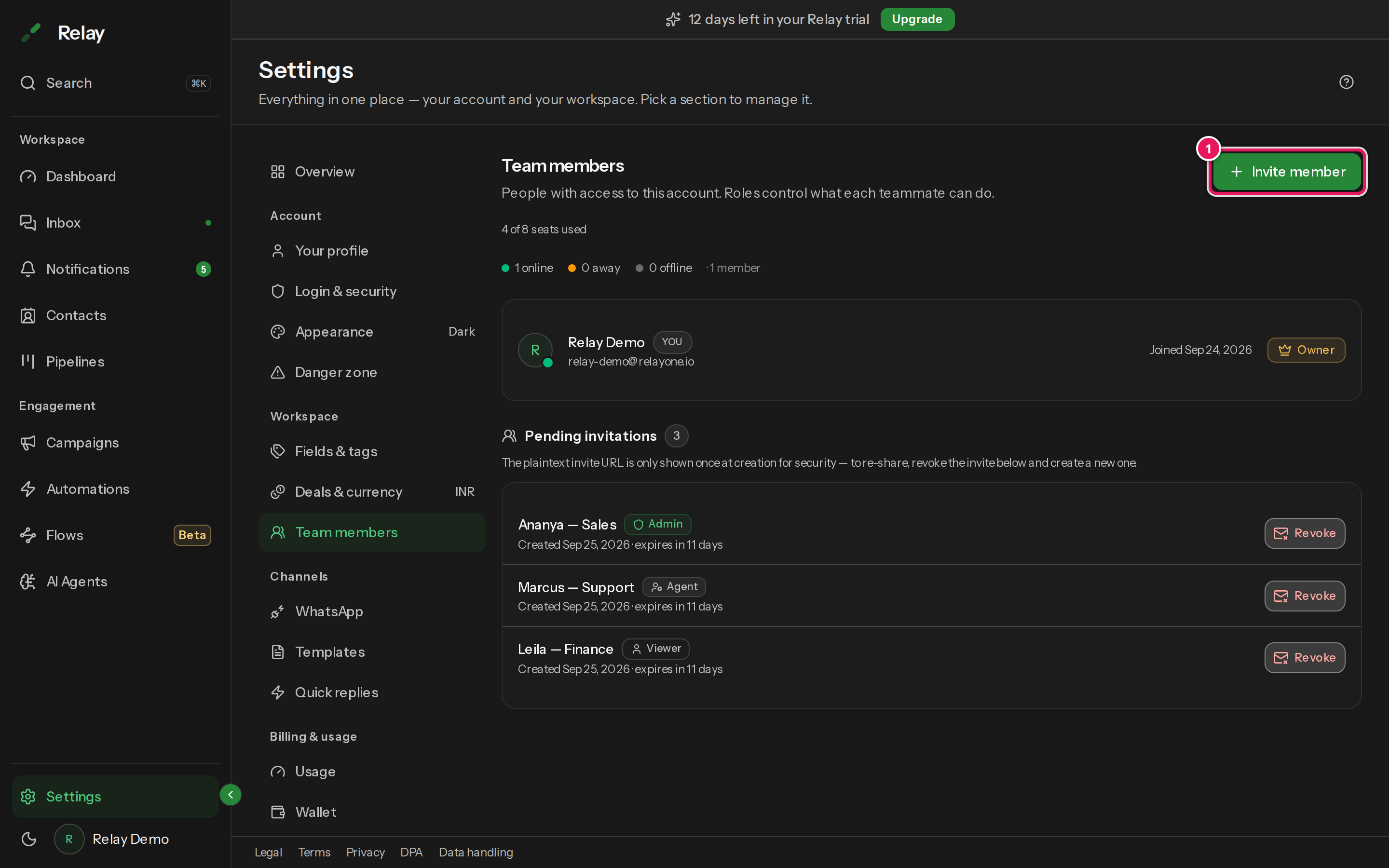 The Team members list, showing each teammate's name, role and status